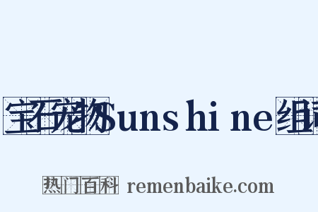 宝石宠物Sunshine组词是什么意思的图片
